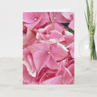 Pink Hydrangea Geburtstag