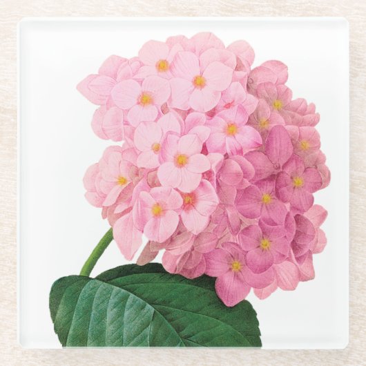 Pink Hydrangea Glass Untersetzer (Vorderseite)