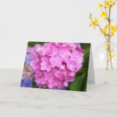 Pink Hydrangea Grußkarte Karte (Gelbe Blume)