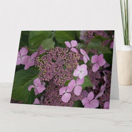 Pink Hydrangea Karte (Vorderseite)