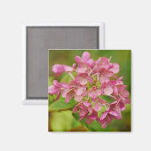 Pink Hydrangea Magnet (Vorderseite/Rückseite)