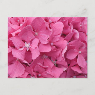 Pink Hydrangea Nah Up DIY Postkarte