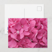 Pink Hydrangea Nah Up DIY Postkarte (Vorne/Hinten)