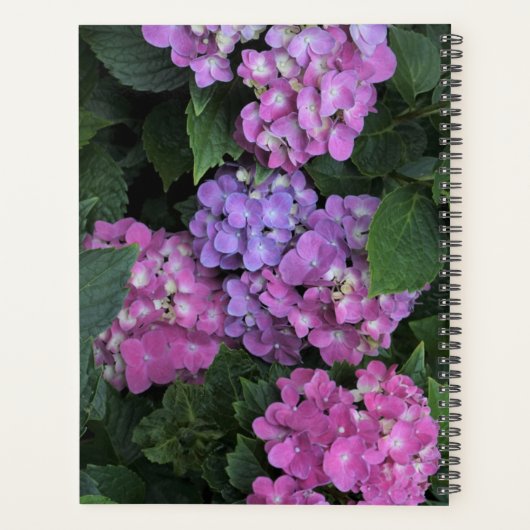 Pink Hydrangea Planer (Rückseite)