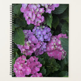 Pink Hydrangea Planer