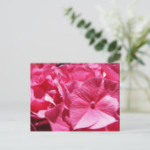 Pink Hydrangea Postkarte (Stehend Vorderseite)