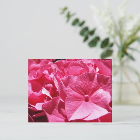 Pink Hydrangea Postkarte (Stehend Vorderseite)