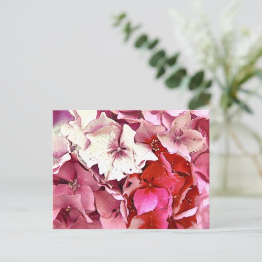 PINK HYDRANGEA POSTKARTE (Stehend Vorderseite)