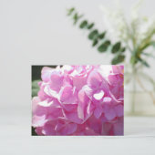 Pink Hydrangea Postkarte (Stehend Vorderseite)