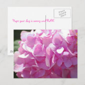 Pink Hydrangea Postkarte (Vorne/Hinten)