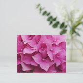 Pink Hydrangea Postkarte (Stehend Vorderseite)