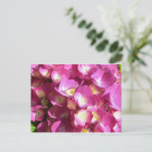 Pink-Hydrangea-Postkarte Postkarte (Stehend Vorderseite)
