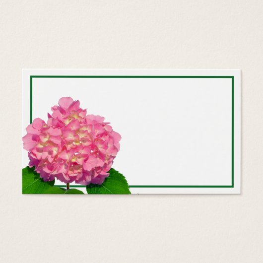Pink Hydrangea Rosa Blume Rosa Blütenblume (Vorderseite)