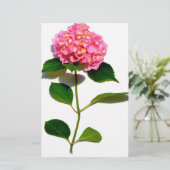 Pink Hydrangea Rosa Blume Rosa Blütenblume Briefpapier (Stehend Vorderseite)