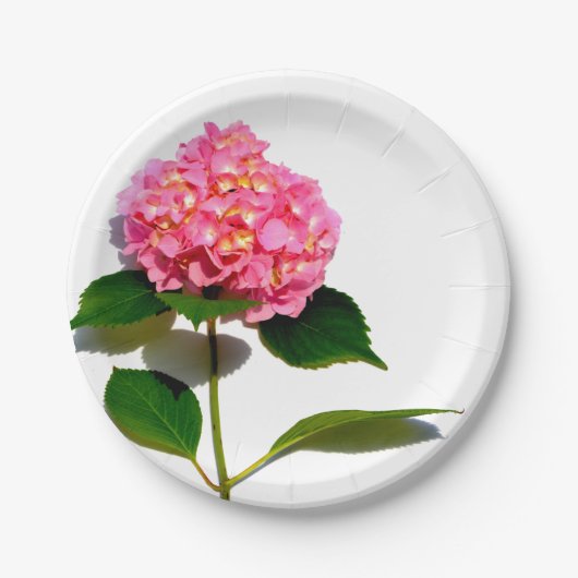 Pink Hydrangea Rosa Blume Rosa Rosen Pappteller (Vorderseite)