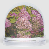 Pink Hydrangea Schneekugeln (Rückseite)