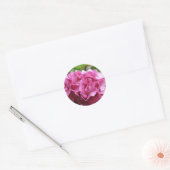 Pink Hydrangea Sticker (Umschlag)