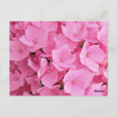 Pink Hydrangea-Tischnummer Postkarte (Rückseite)