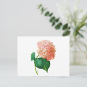 Pink Hydrangea von Pierre Joseph Redoute Postkarte (Stehend Vorderseite)