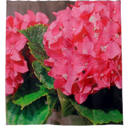 Pink Hydrangeas Duschvorhang