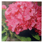 Pink Hydrangeas Fliese (Vorderseite)