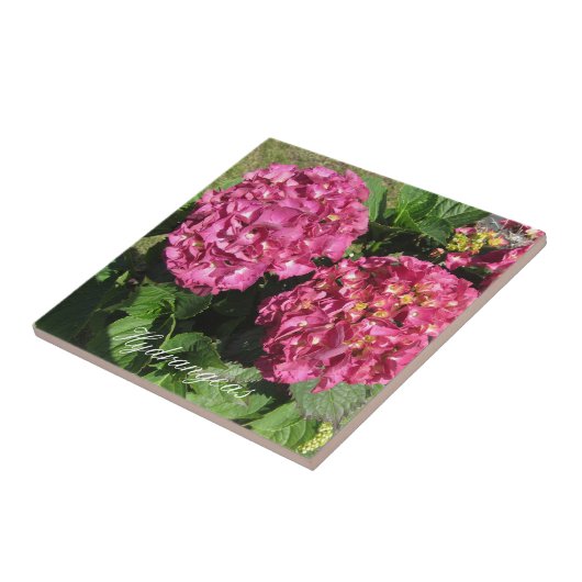 Pink Hydrangeas Fliese (Seite)