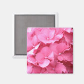 Pink Hydrangeas Magnet (Vorderseite/Rückseite)