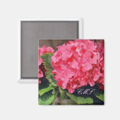 Pink Hydrangeas Magnet (Vorderseite/Rückseite)
