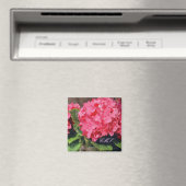 Pink Hydrangeas Magnet (In Situ (Geschirrspüler))