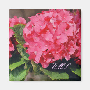 Pink Hydrangeas Magnet