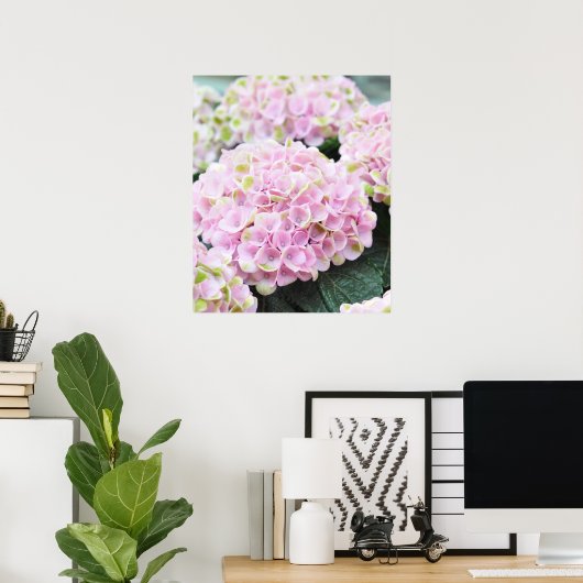 Pink Hydrangeas Poster (Heimbüro)