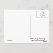 Pink Hydrangeas Postkarte (Rückseite)