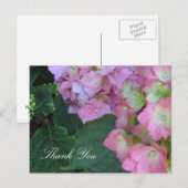 Pink Hydrangeas Postkarte (Vorne/Hinten)