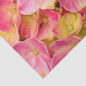 Pink Hydrangeas-TISSUE-WRAPPING-PAPIER Seidenpapier (Ausschnitt)
