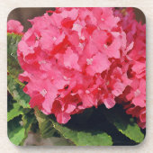 Pink Hydrangeas Untersetzer (Vorderseite)