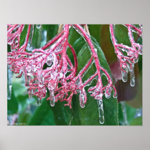 "Pink Ice" im Winter Storm Poster