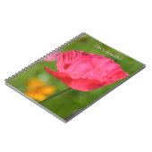 Pink Iceland Poppy Flower Garden (my photography) Notizblock (Linke Seite)