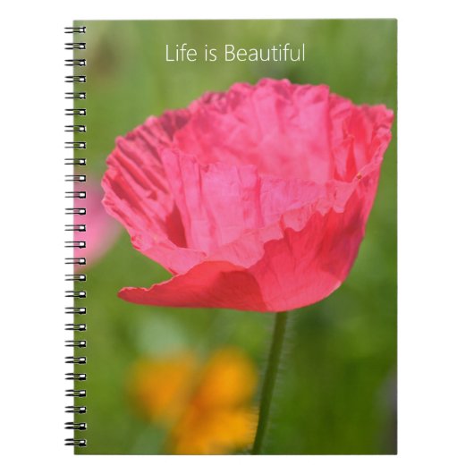 Pink Iceland Poppy Flower Garden (my photography) Notizblock (Vorderseite)