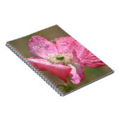 Pink Iceland Poppy Flower (my photography) Notizblock (Rechte Seite)
