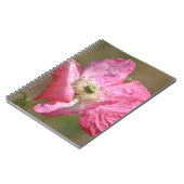Pink Iceland Poppy Flower (my photography) Notizblock (Linke Seite)