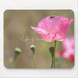 Pink Iceland Poppy Flower (photography by me) Mousepad