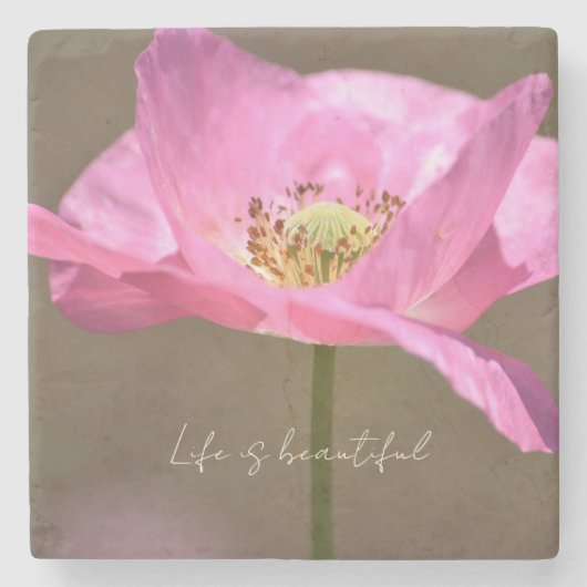 Pink Iceland Poppy Flower (photography by me) Steinuntersetzer (Vorderseite)