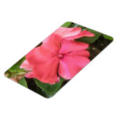 Pink Impatiens Blume Macro Premium Magnet (Linke Seite)