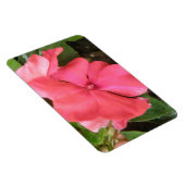 Pink Impatiens Blume Macro Premium Magnet (Rechte Seite)