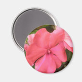 Pink Impatiens Blume Makro Magnet (Vorderseite/Rückseite)