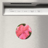 Pink Impatiens Blume Makro Magnet (In Situ (Geschirrspüler))