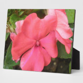 Pink Impatiens Blume Makro Plaque Fotoplatte (Seite)