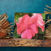 Pink Impatiens Blume Makro Plaque Fotoplatte (Seite)