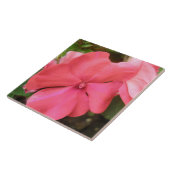 Pink Impatiens Blume Makro Tile Fliese (Seite)