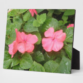 Pink Impatiens Blume Plaque Fotoplatte (Seite)